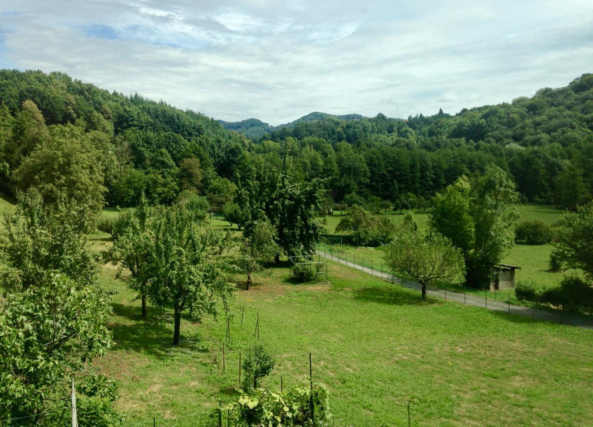 Relax Hotel Borgosesia Bagian luar foto